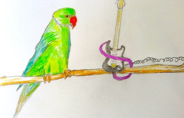 Permalink to SQUAWK OF THE TOWN SQUAWK OF THE TOWN